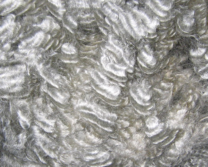 Silver Lincoln fleece